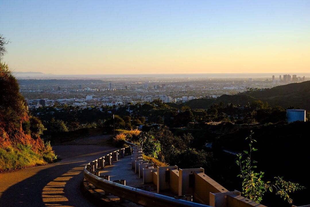 hollywood hills view