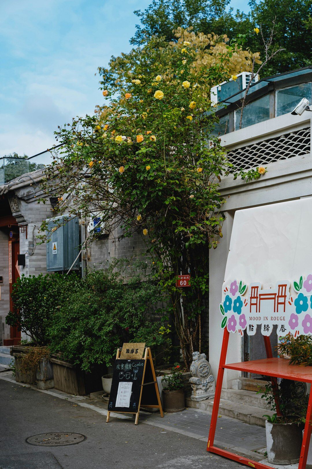 celebrity in hidden cafe